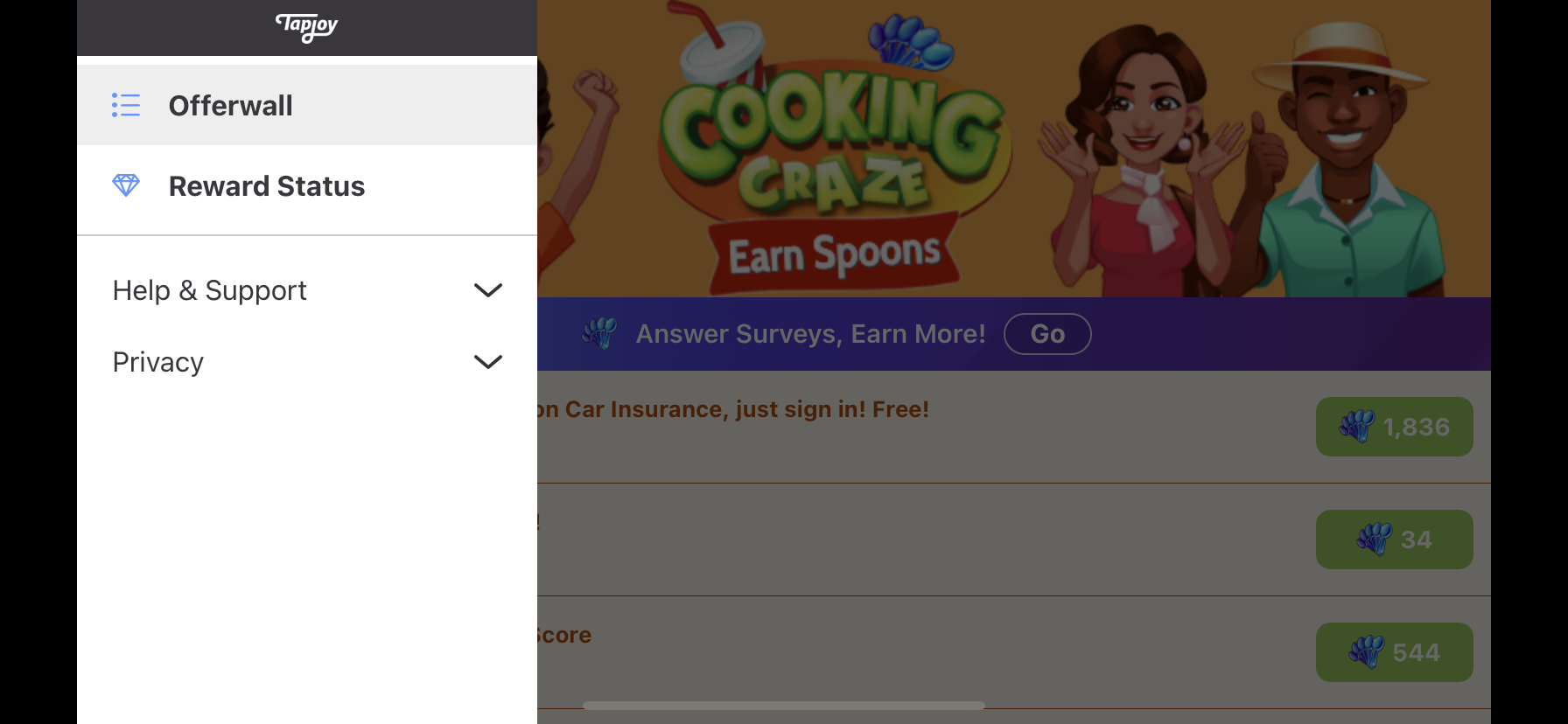 Offerwall_CC3.PNG